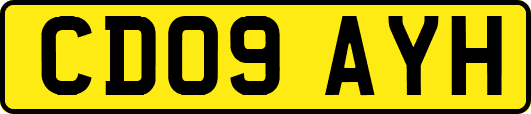 CD09AYH