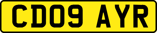CD09AYR