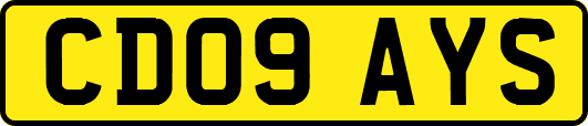 CD09AYS