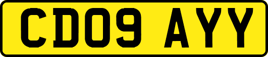 CD09AYY