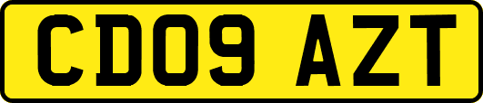 CD09AZT