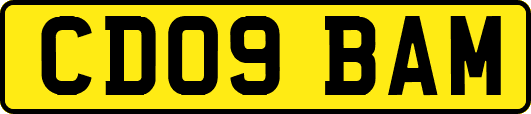 CD09BAM