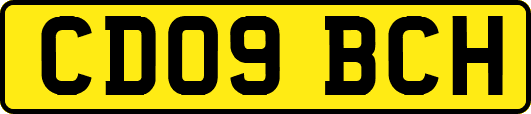 CD09BCH
