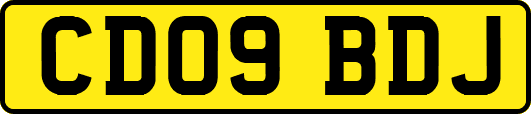 CD09BDJ