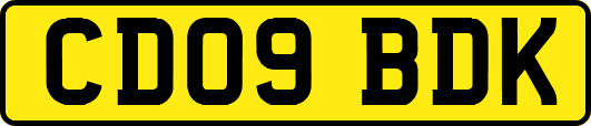 CD09BDK