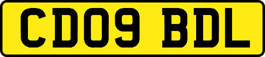 CD09BDL