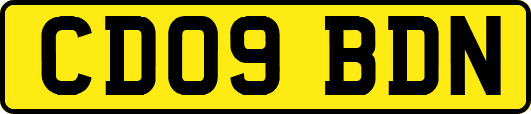 CD09BDN