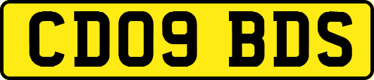 CD09BDS