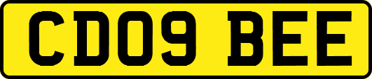 CD09BEE