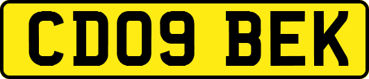 CD09BEK
