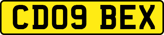 CD09BEX