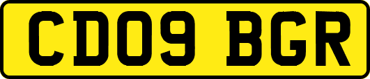 CD09BGR