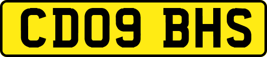 CD09BHS