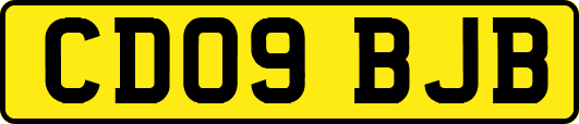 CD09BJB