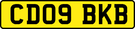 CD09BKB