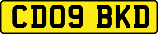 CD09BKD