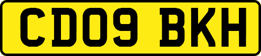 CD09BKH