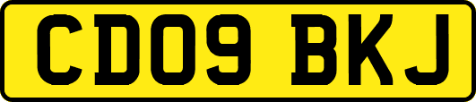CD09BKJ