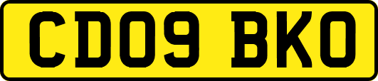 CD09BKO