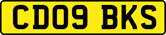 CD09BKS