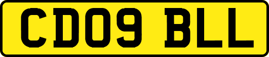 CD09BLL