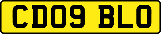 CD09BLO