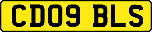 CD09BLS