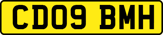 CD09BMH