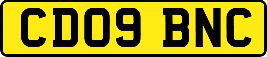 CD09BNC