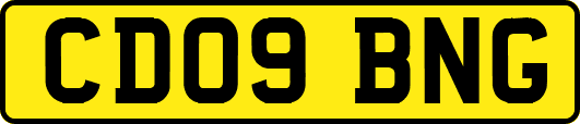 CD09BNG