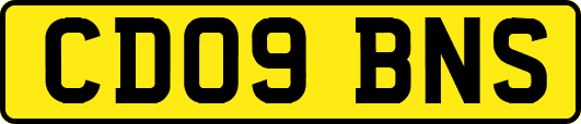 CD09BNS