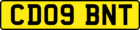 CD09BNT