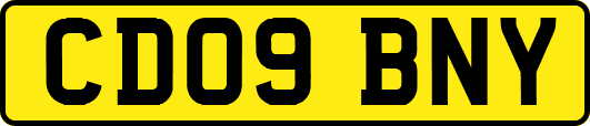 CD09BNY