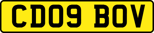 CD09BOV
