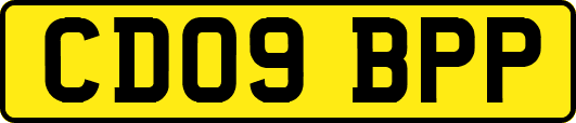CD09BPP