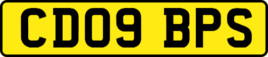 CD09BPS