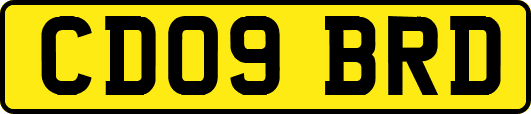 CD09BRD