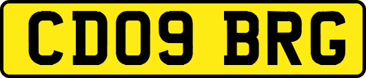 CD09BRG