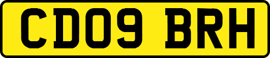 CD09BRH