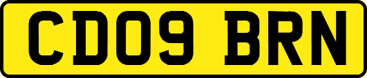 CD09BRN