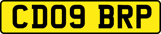 CD09BRP