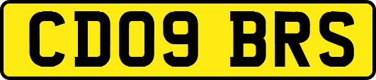 CD09BRS