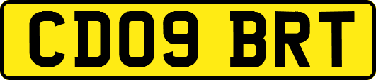 CD09BRT