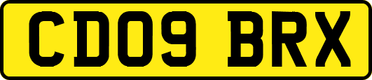 CD09BRX