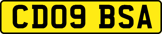 CD09BSA