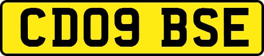 CD09BSE