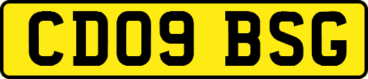CD09BSG