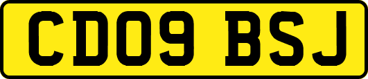 CD09BSJ