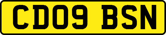 CD09BSN