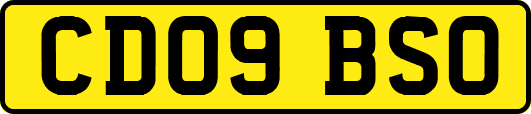 CD09BSO